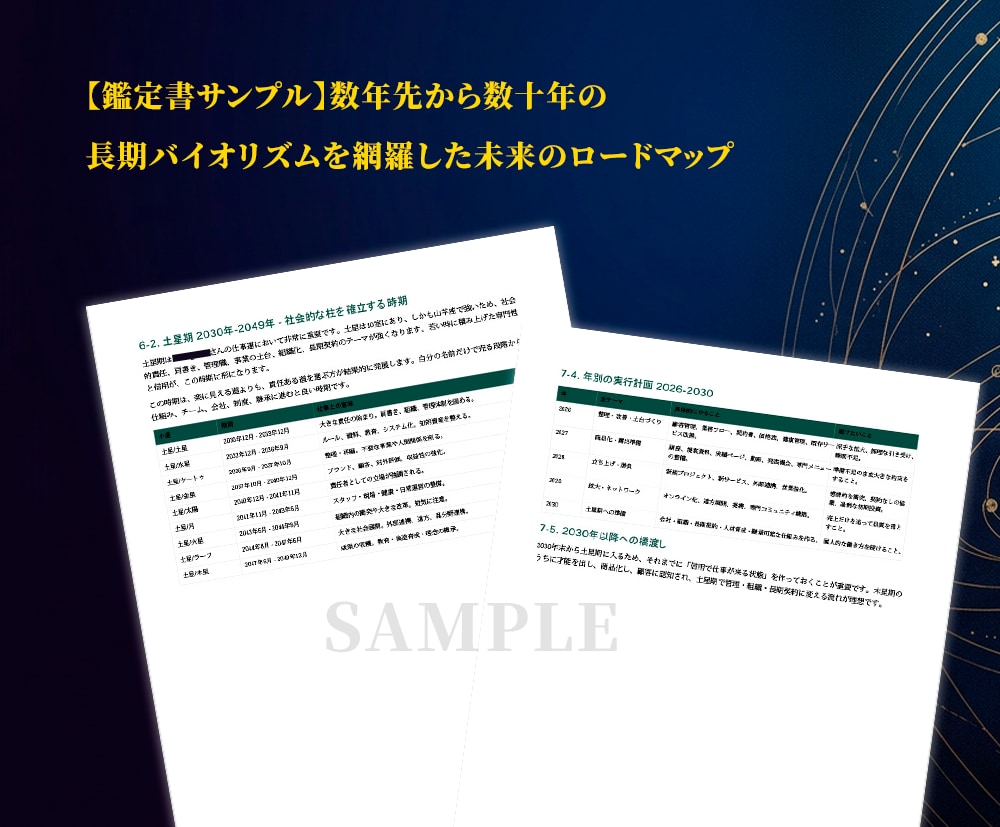 インド占星術で人生の転機と未来を鑑定します 精密な時期読みで未来の転機と人生のロードマップを届けます イメージ2
