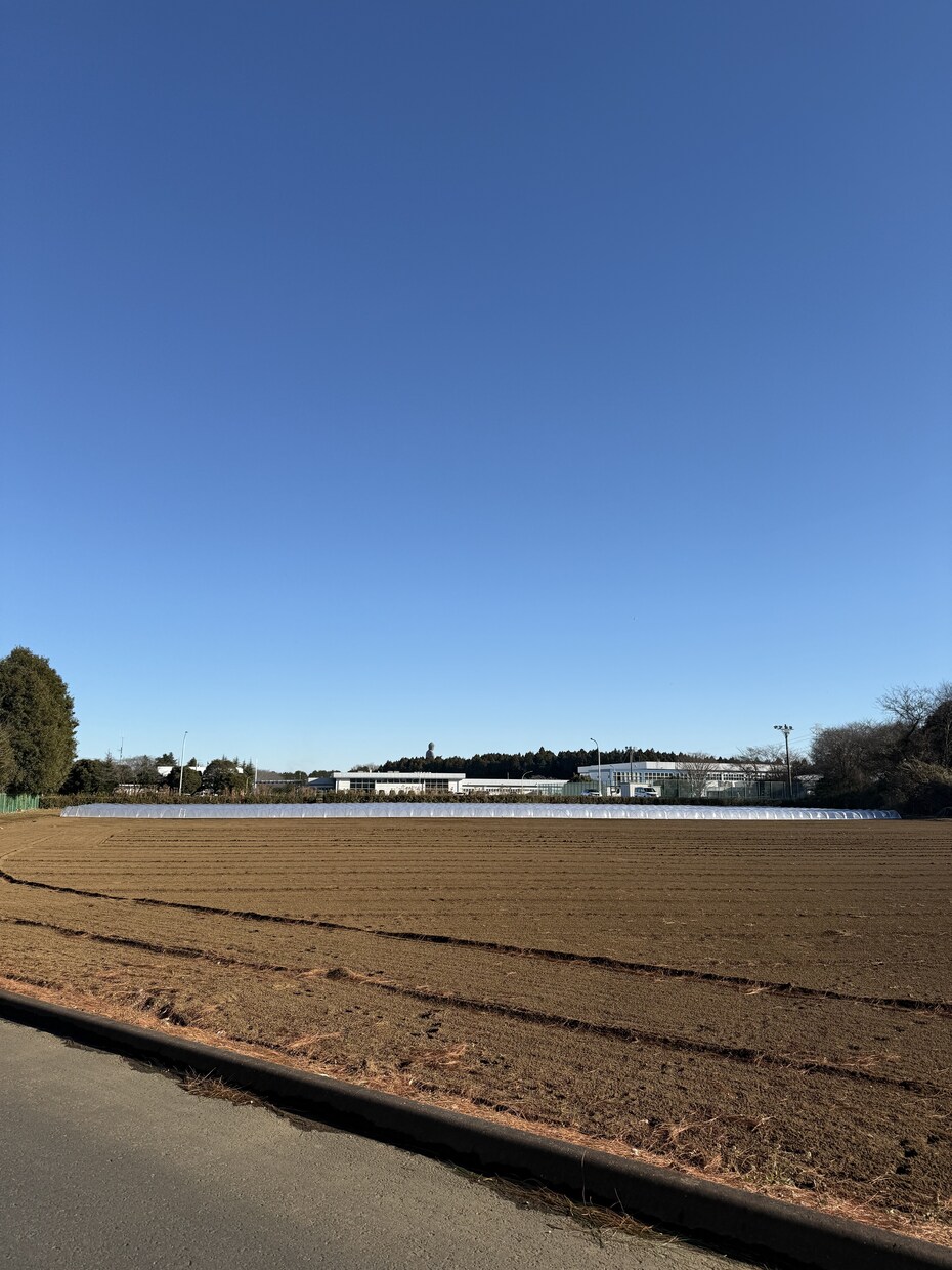 どんな内容でも話し相手になります どんなお悩みでも万事解決します イメージ1