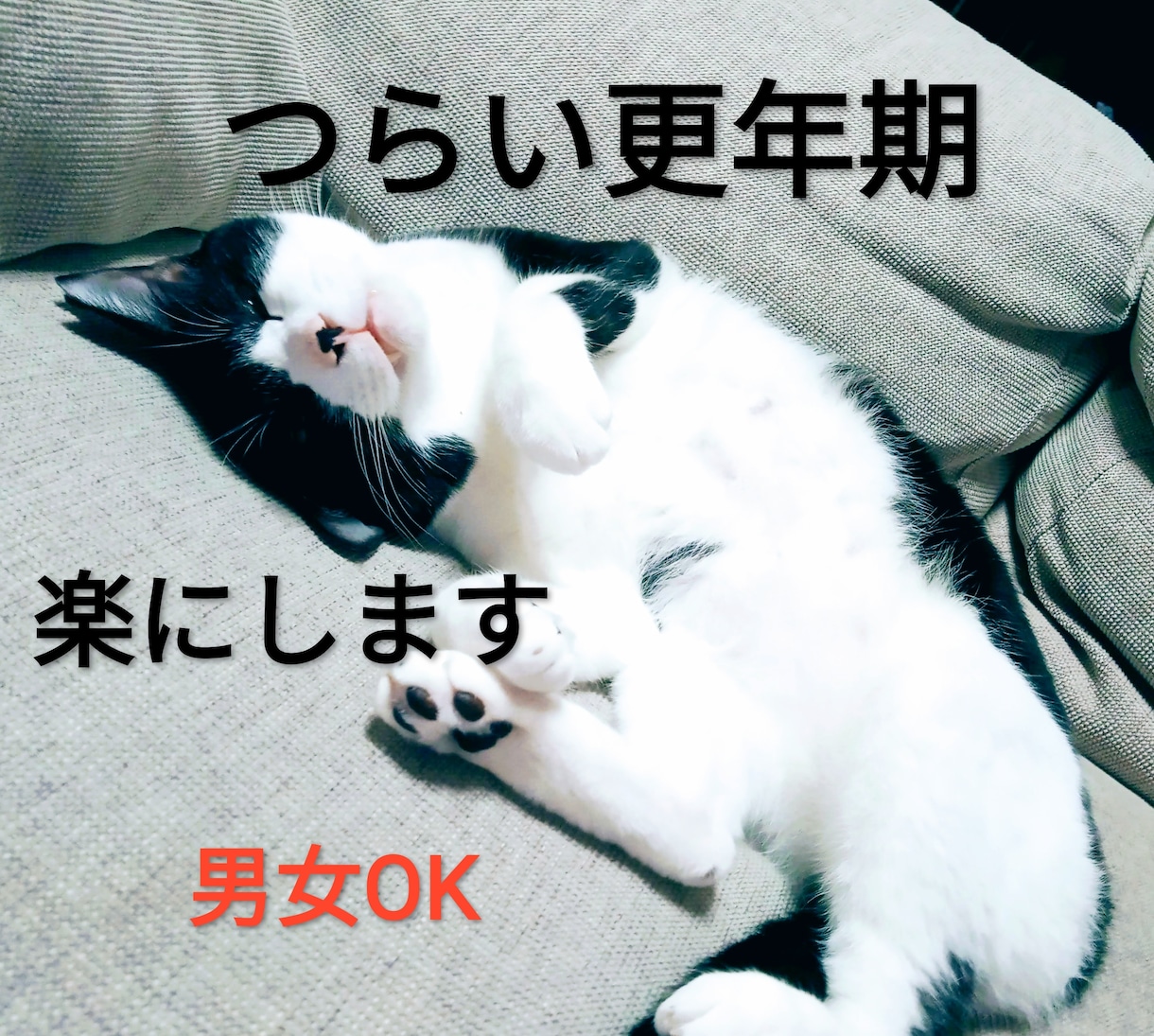 女性も男性も更年期の不調軽くします 更年期障害による落ち込みやイライラを解消しましょう。 イメージ1
