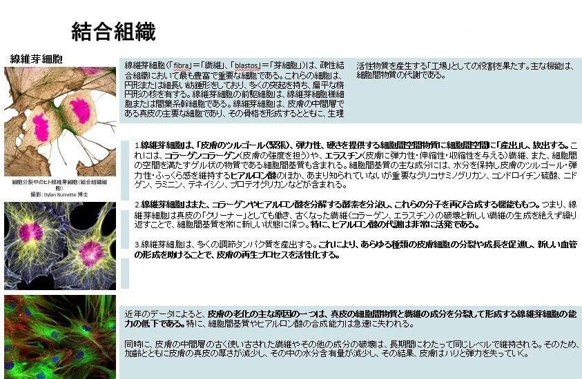 英語⇆日本語翻訳します スピーディーに丁寧に、ビジネス・一般英語⇆日本語翻訳します！ イメージ4