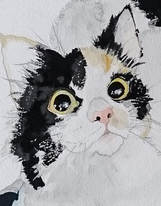 貴方のペット又は好きな動物の絵を描きます 動物、ペットが大好きな方、思い出を貴方にお届けします。 イメージ3