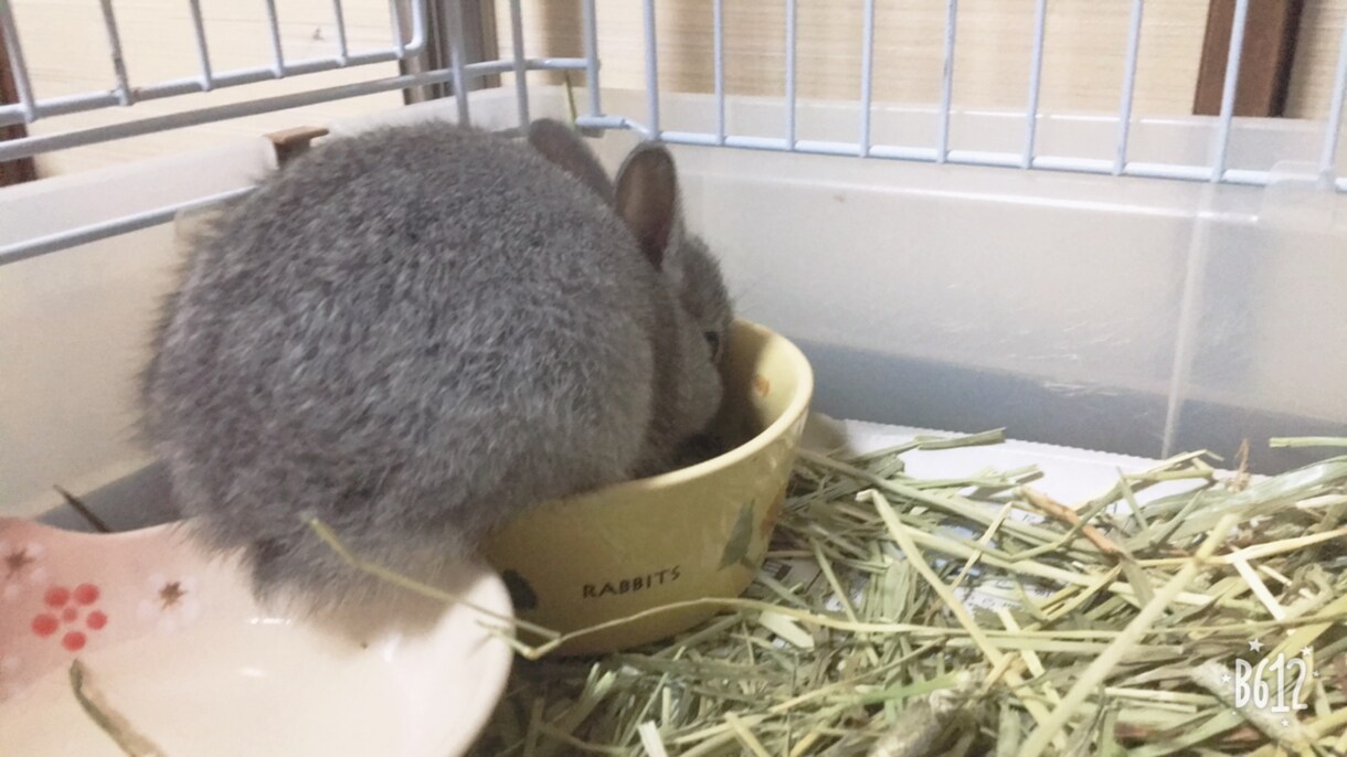 貴方のお話を聞きします 個人情報は必ずお守り致します。 イメージ1