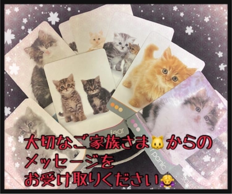 ペット占い♪ご家族の犬・猫ちゃん♪占わせて頂きます ！亡くなってしまったペットちゃん、、今のお気持ち知りたい‼︎ イメージ8