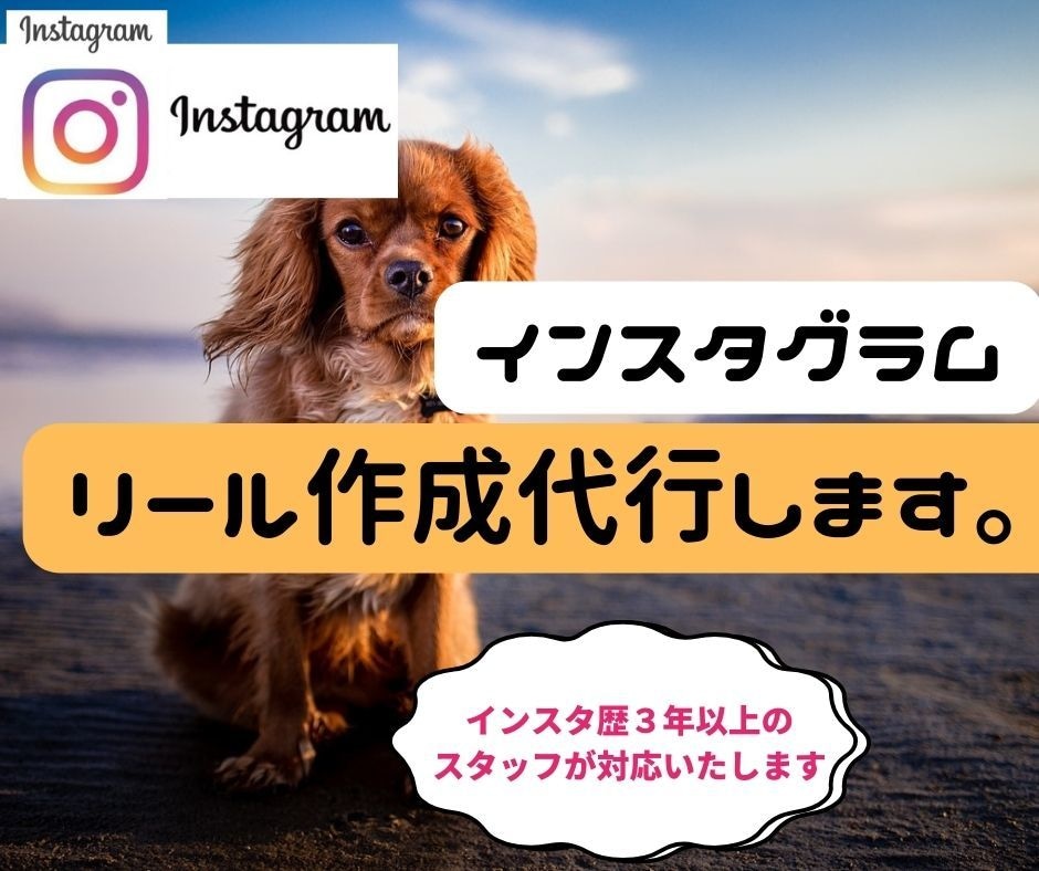 Instagramの「リール」を作成代行します ご希望に沿ったリールを他社様より圧倒的に安価で作成いたします イメージ2