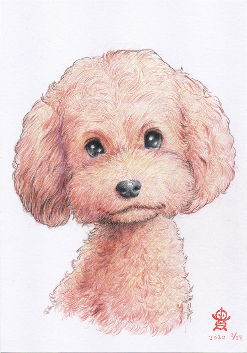 ペット・動物似顔絵お描きします 可愛いペット・動物を鉛筆／色鉛筆でスケッチ風、写実系似顔絵に イメージ8