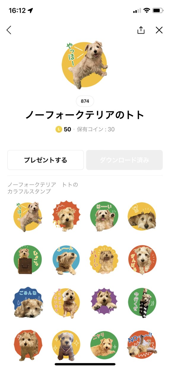 オシャレなフォトLINEスタンプ、プロが作ります 今だけ特価！現役デザイナーが作成します！ イメージ2