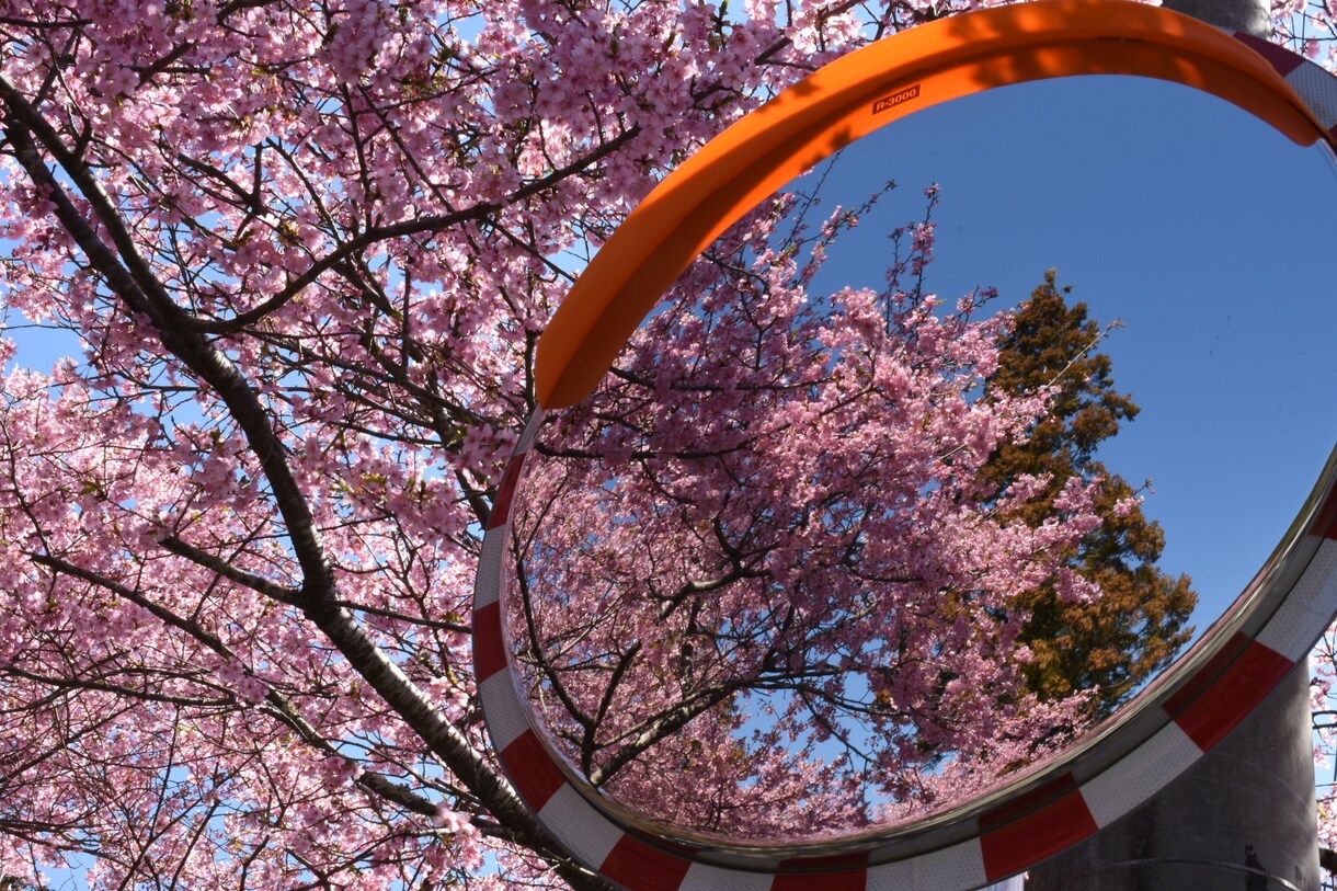 写真を代行します 見たことの無い景色をあなたへ。。 イメージ3