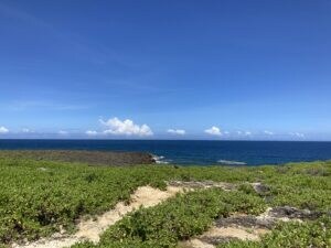 沖縄県民と話そう!短い時間でも対応できます 沖縄に興味がある人必見！沖縄の事をお伝えします。 イメージ4