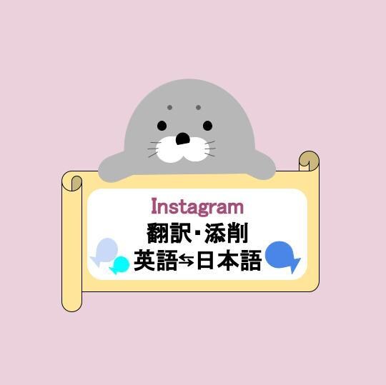Instagram投稿翻訳(英日・日英)いたします High Quality Translation イメージ1