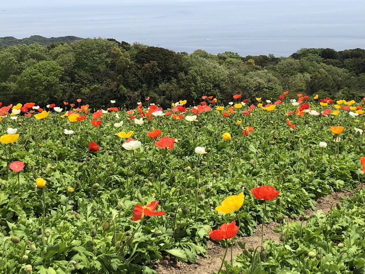あなたのいろんなお話聞かせていただきます 第3者だからこそお気軽にお話しましょう！ イメージ2
