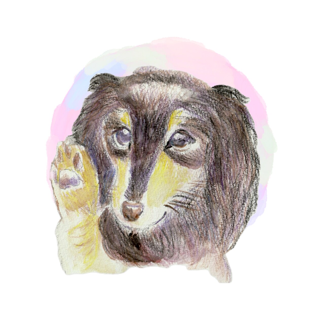 ペットの似顔絵描きます アナログでペットの似顔絵を描きます。 イメージ6