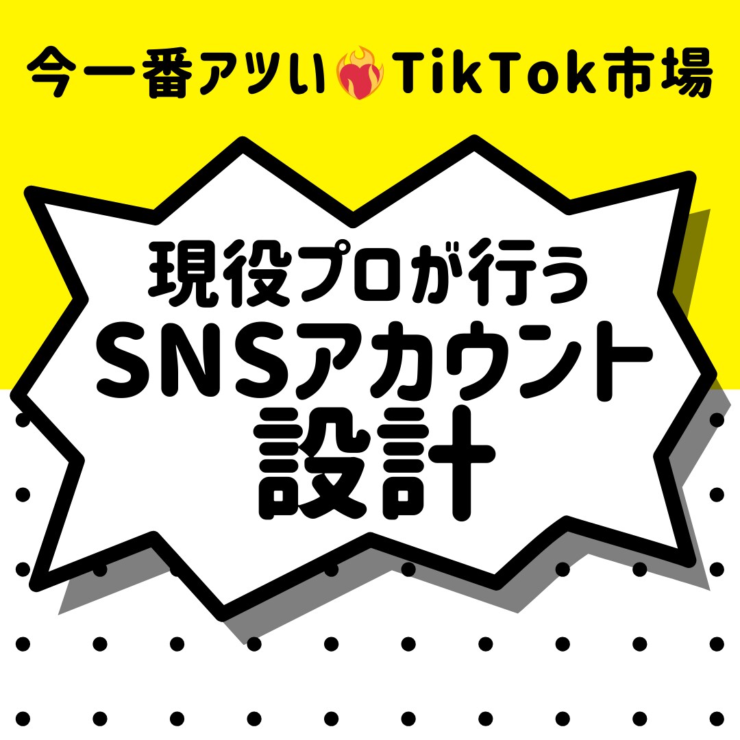 現役のプロがTikTokのアカウント設計します 大手・著名企業様の運用代行経験あり！ イメージ1