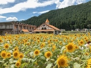 絶対喜んでもらえるデートプランをご提案します デートプランを考えるのが面倒、お困りのあなたへ イメージ1
