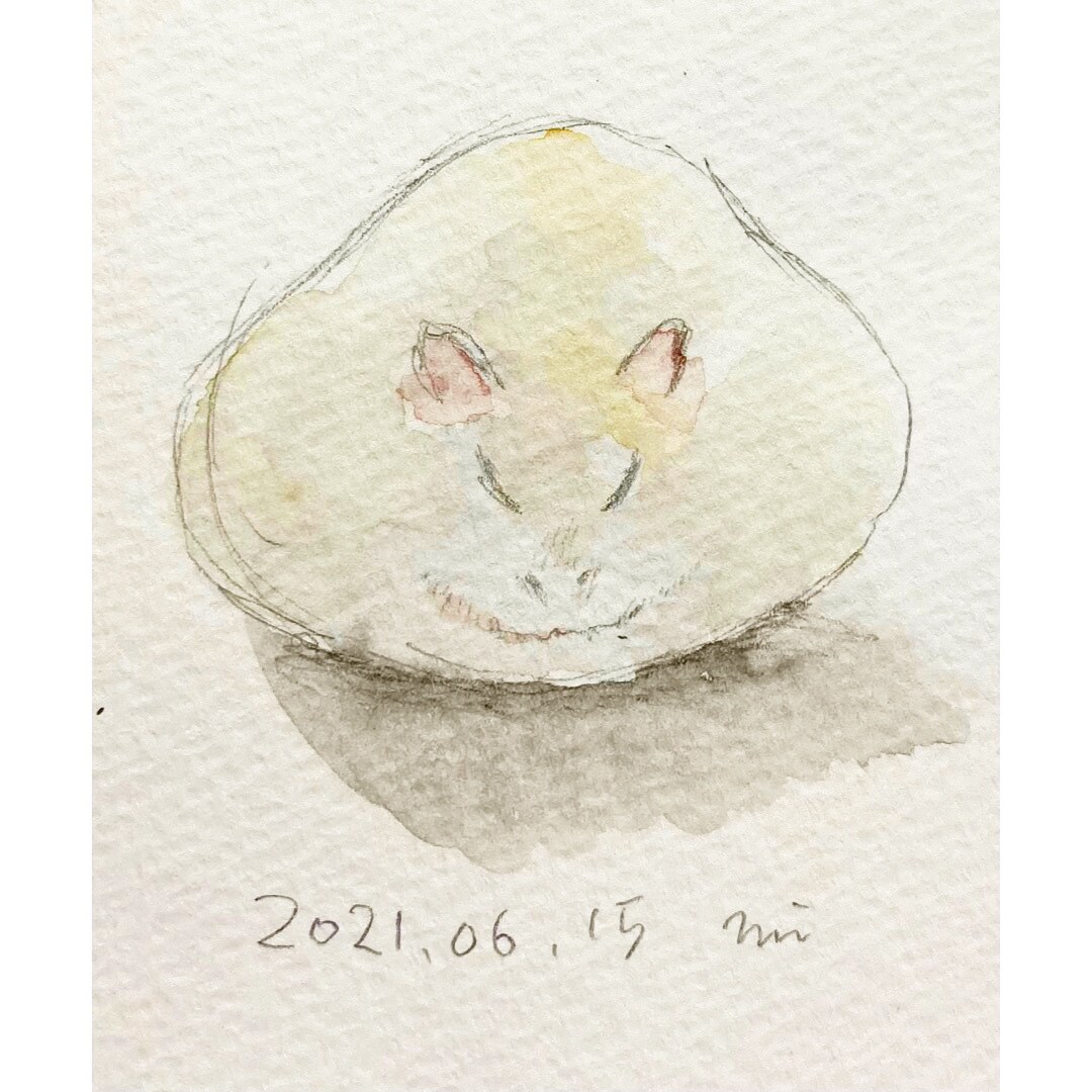 大切な動物さん達を描かせていただきます 水彩で優しい雰囲気のイラストを描かせていただきます。 イメージ4
