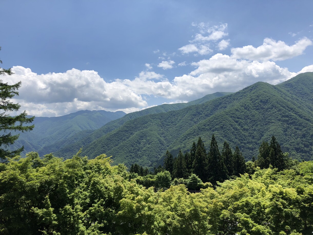 暇つぶしから相談まであなたのお友達になります 気軽な相談から気学占いまで対応できます。 イメージ1