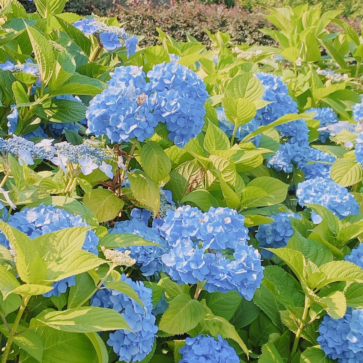 満足のいくキャッチコピーを提供します どんなものでも即座に複数提案いたします イメージ2