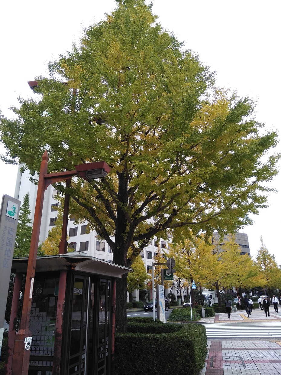 話し相手が欲しい、今話したい、そんな方受付します 眠れない時間にお気軽にどうぞ、話題はなんでも大丈夫です。 イメージ1