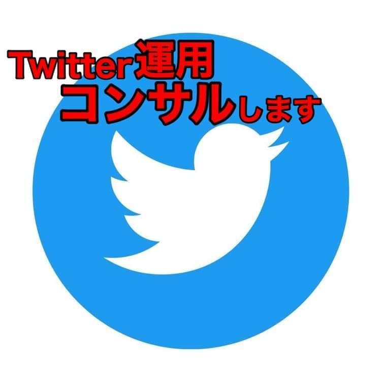 Twitter運用コンサル、アドバイスします 個人様でも大歓迎！Twitterを一緒に伸ばしましょう イメージ1