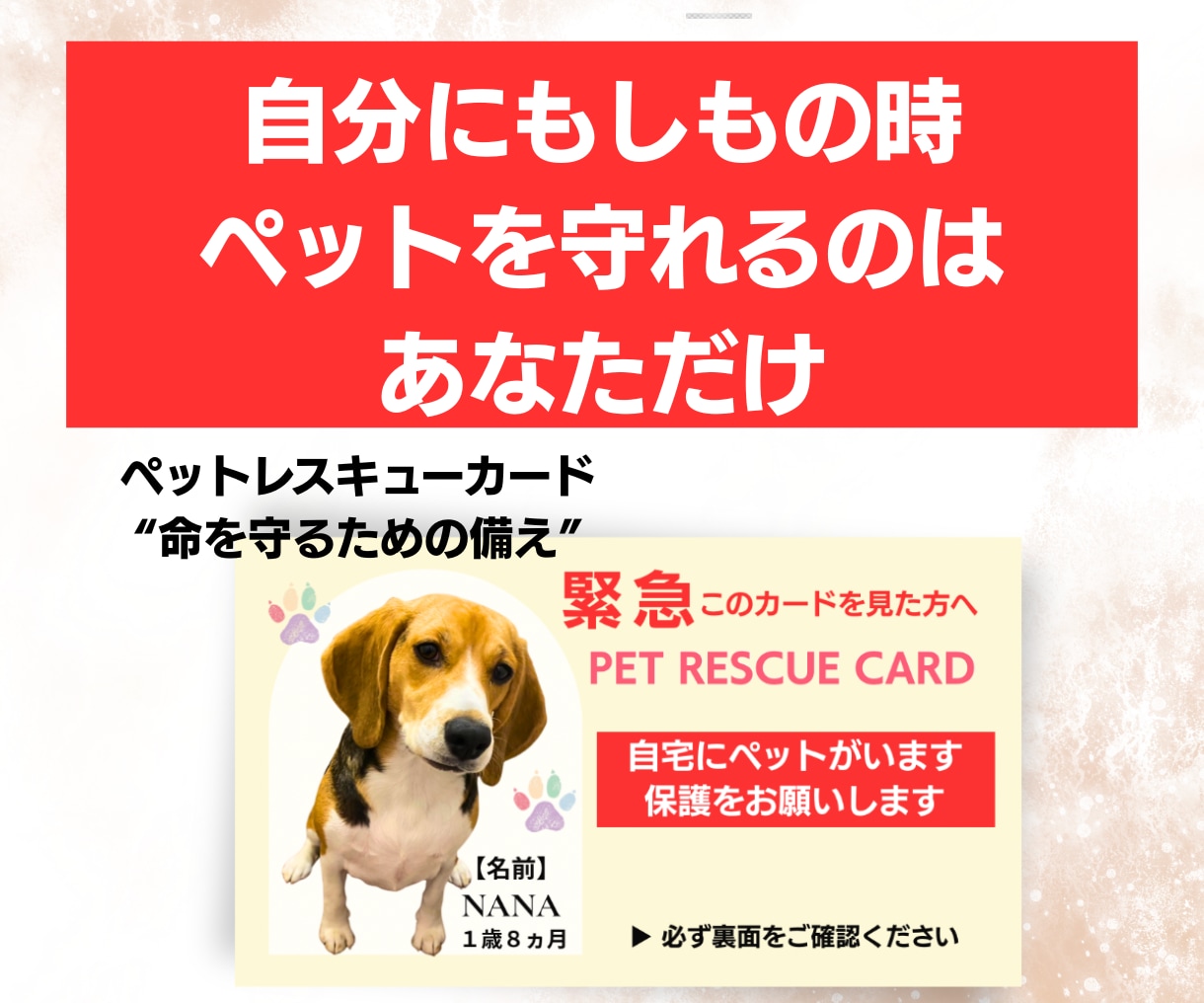 もしもの時、ペットを守れるカード作成します 写真入り｜緊急時にすぐ伝わるペット防災カード イメージ1