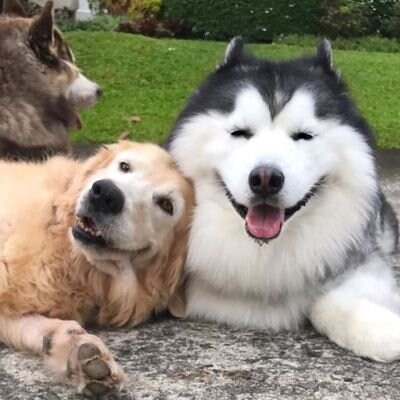 辛いこと、悲しいこと色々ありますよね、話ききます 初めての人は5分からでどーぞ！悩み事全て相談乗ります イメージ1