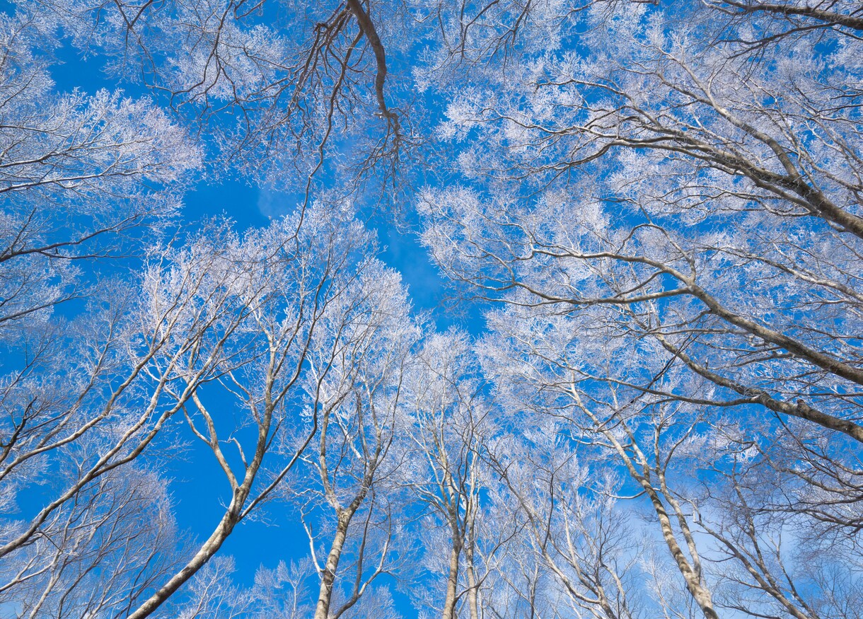写真加工・高画質化・不要物除去など全般に対応します 写真の悩み全般を丁寧に解決しレタッチで美しく整えます イメージ5