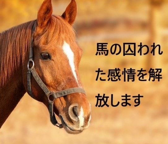 馬の囚われた感情を解放します エモーションコード　馬のストレスを解放します。 イメージ1