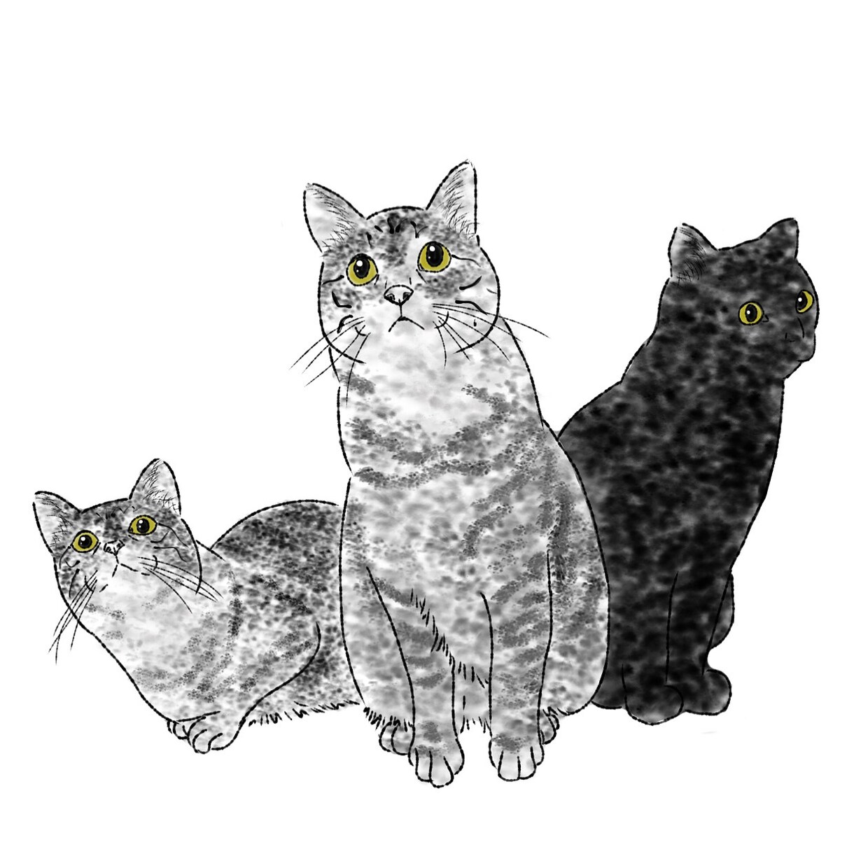 大切なペットの写真をもとに心を込めて描きます 大切なうちの子の忘れられない瞬間をイラストにしませんか？ イメージ5