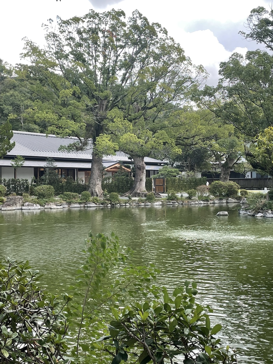 四柱推命で金運の傾向をお伝えさせていただきます 過去の傾向から数年先の未来まで傾向をお伝えさせていただきます イメージ1