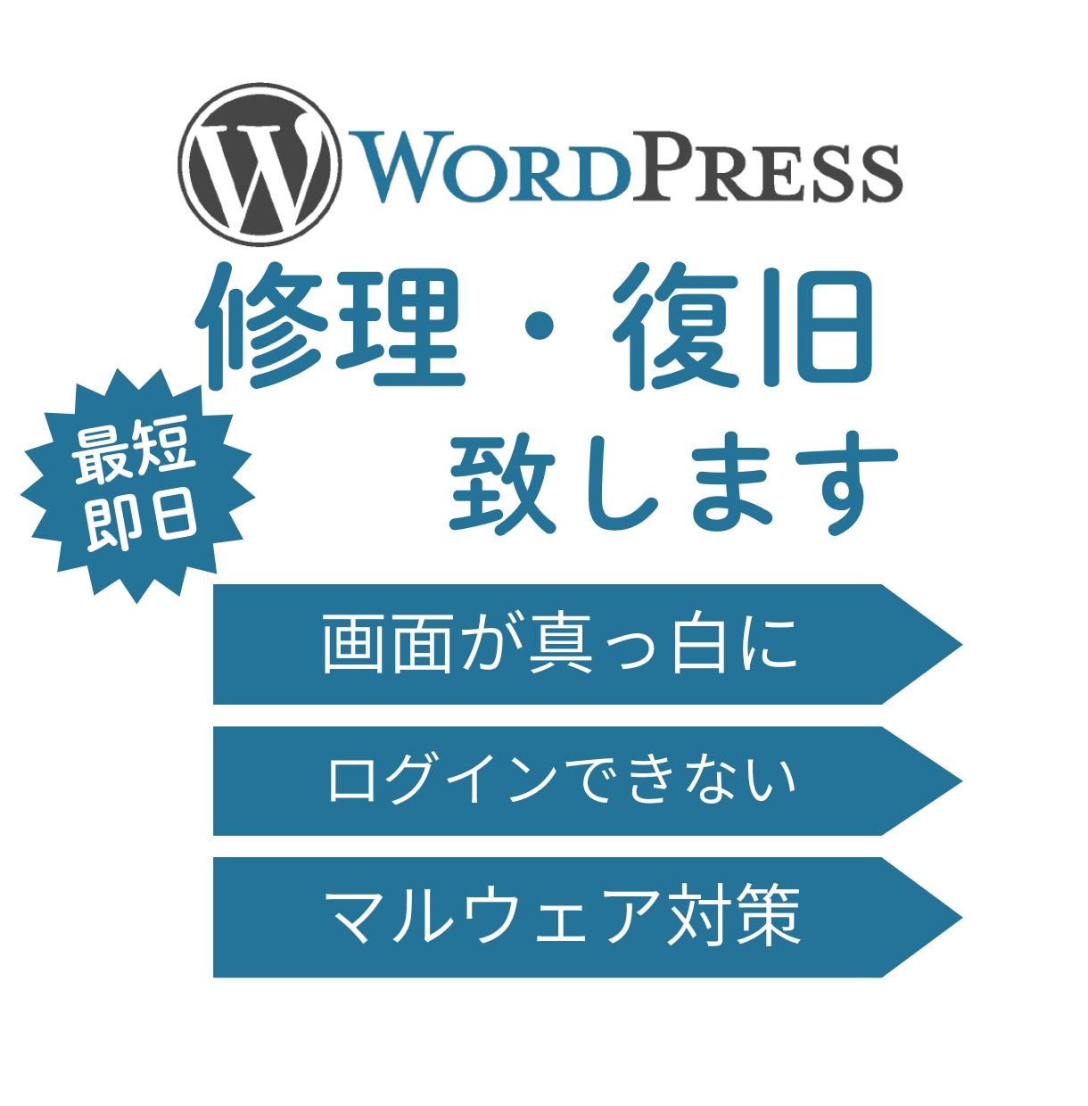 ワードプレスの動作エラーや不具合を復旧します 最短１日で壊れたワードプレスを復旧します。 イメージ1