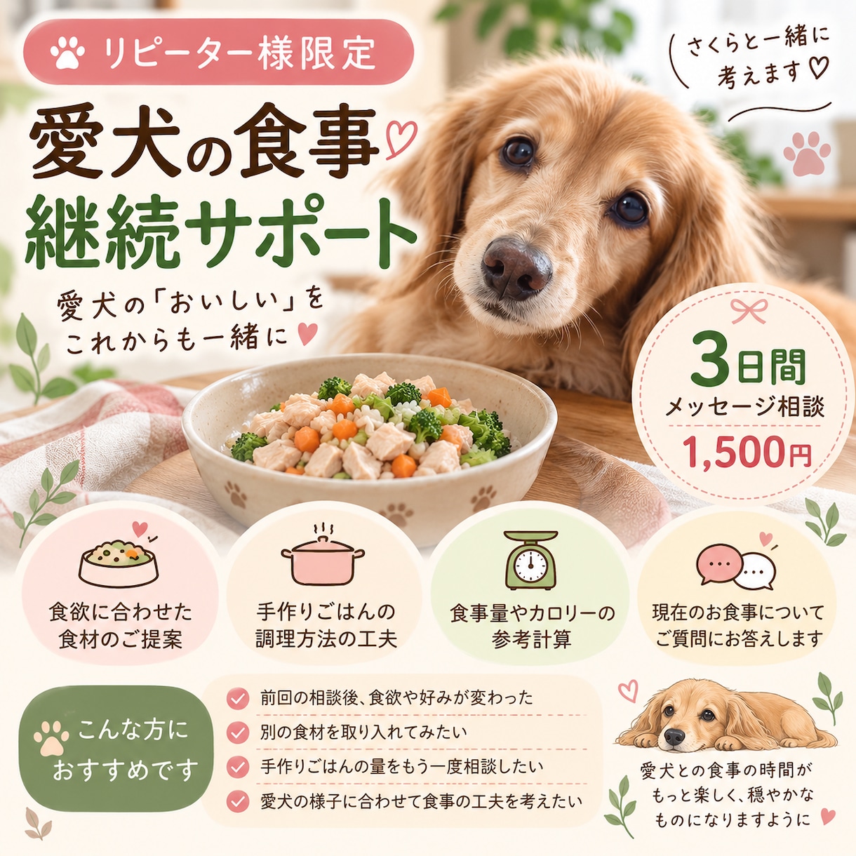 愛犬の食事のお悩みを継続サポートします 愛犬の食事の変化に、これからも寄り添います イメージ1