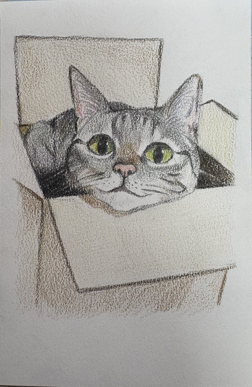 色鉛筆で描いたペットの肖像画を原画でお届けします 犬・猫・鳥・爬虫類・魚類・昆虫など種類は問いません イメージ3