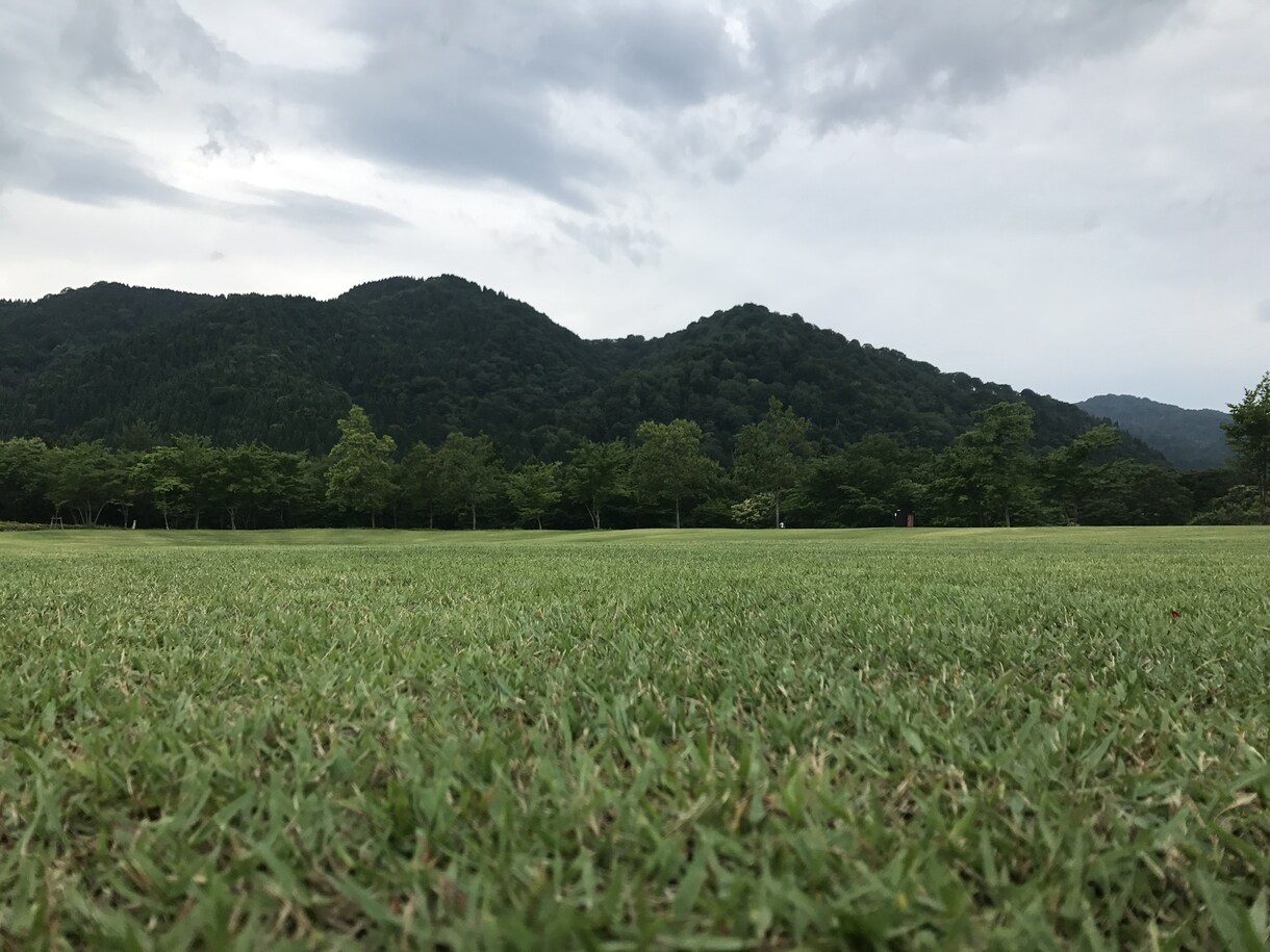 お庭の芝生の雑草を消すアドバイスをします 自宅や敷地の芝生を華麗に保つアドバイスをします。 イメージ1
