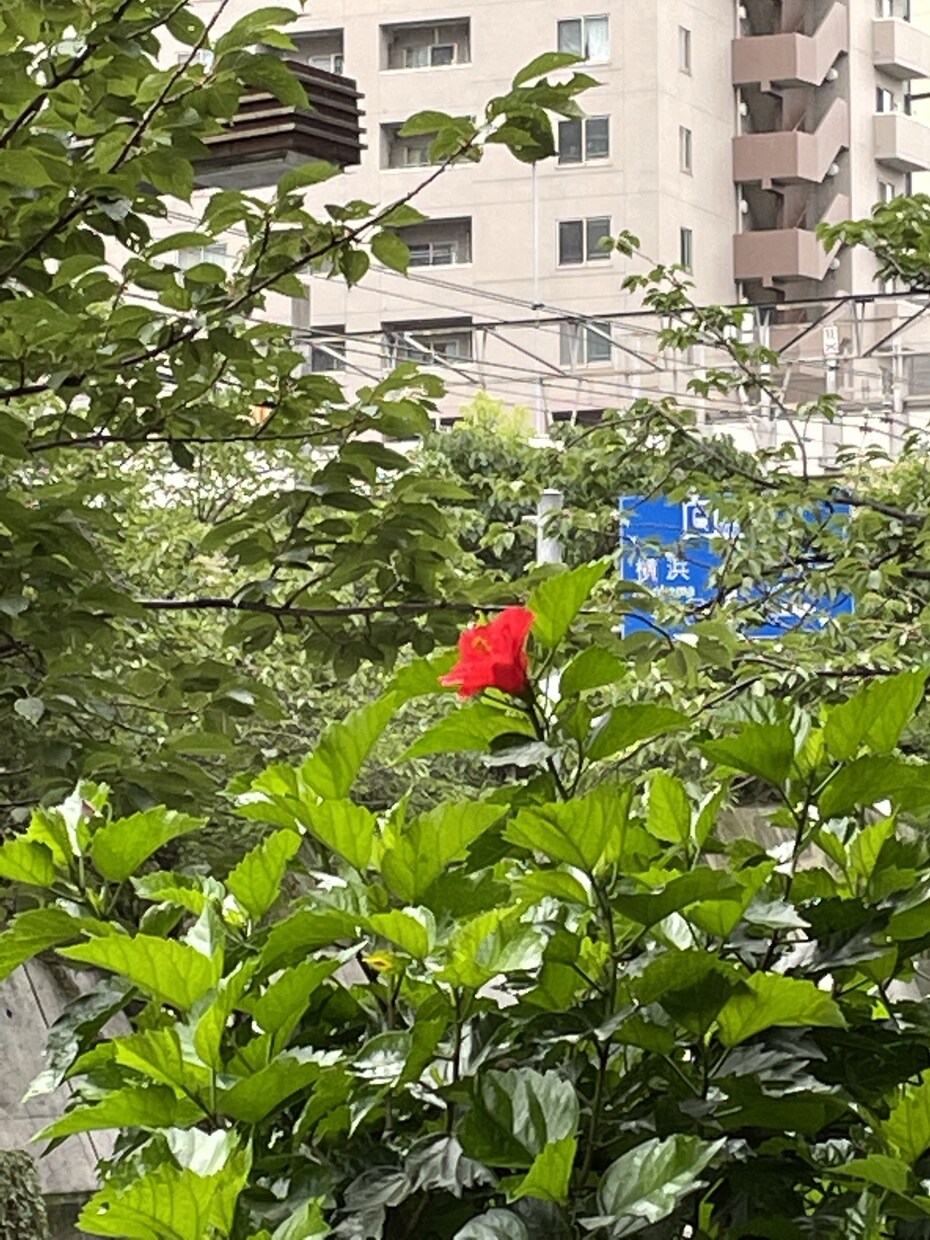 貴方の悩みや迷いを解決いたします 高次元からのメッセージを霊視と併せてお伝え致します。 イメージ6