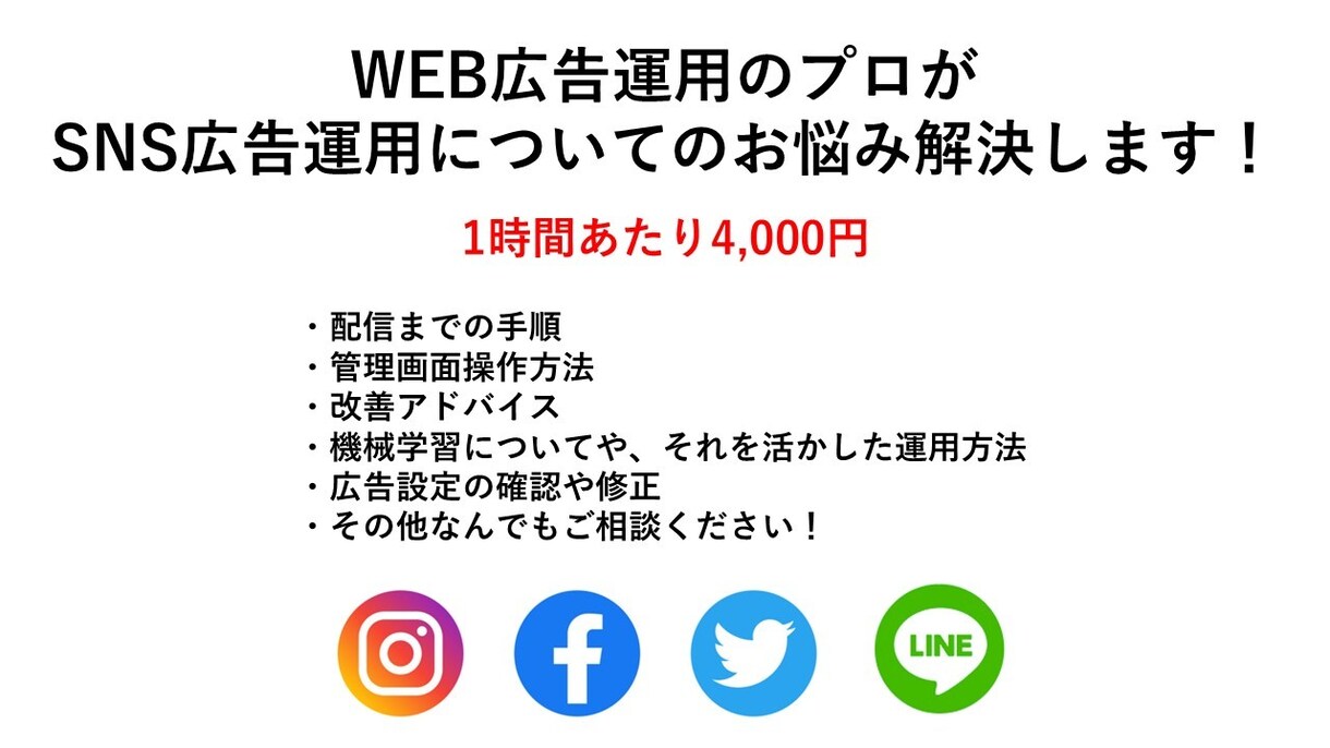 SNS広告の相談、管理画面操作等分かり易く教えます 初めて広告を触る方でも丁寧にご説明いたします！ イメージ1