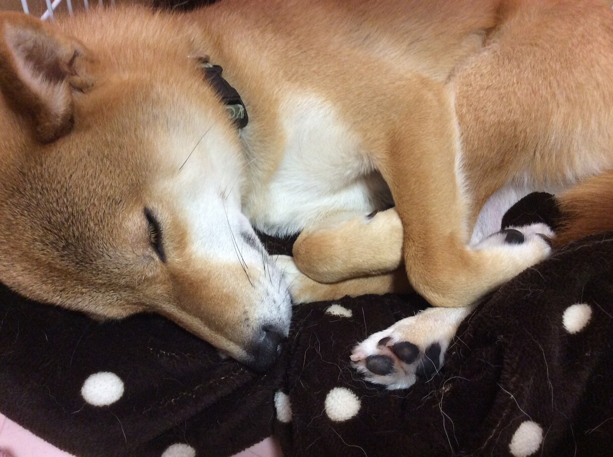 医大生が様々なお悩みを聞きます 毎日頑張っている方へ、少しでも心が楽になりますように イメージ1