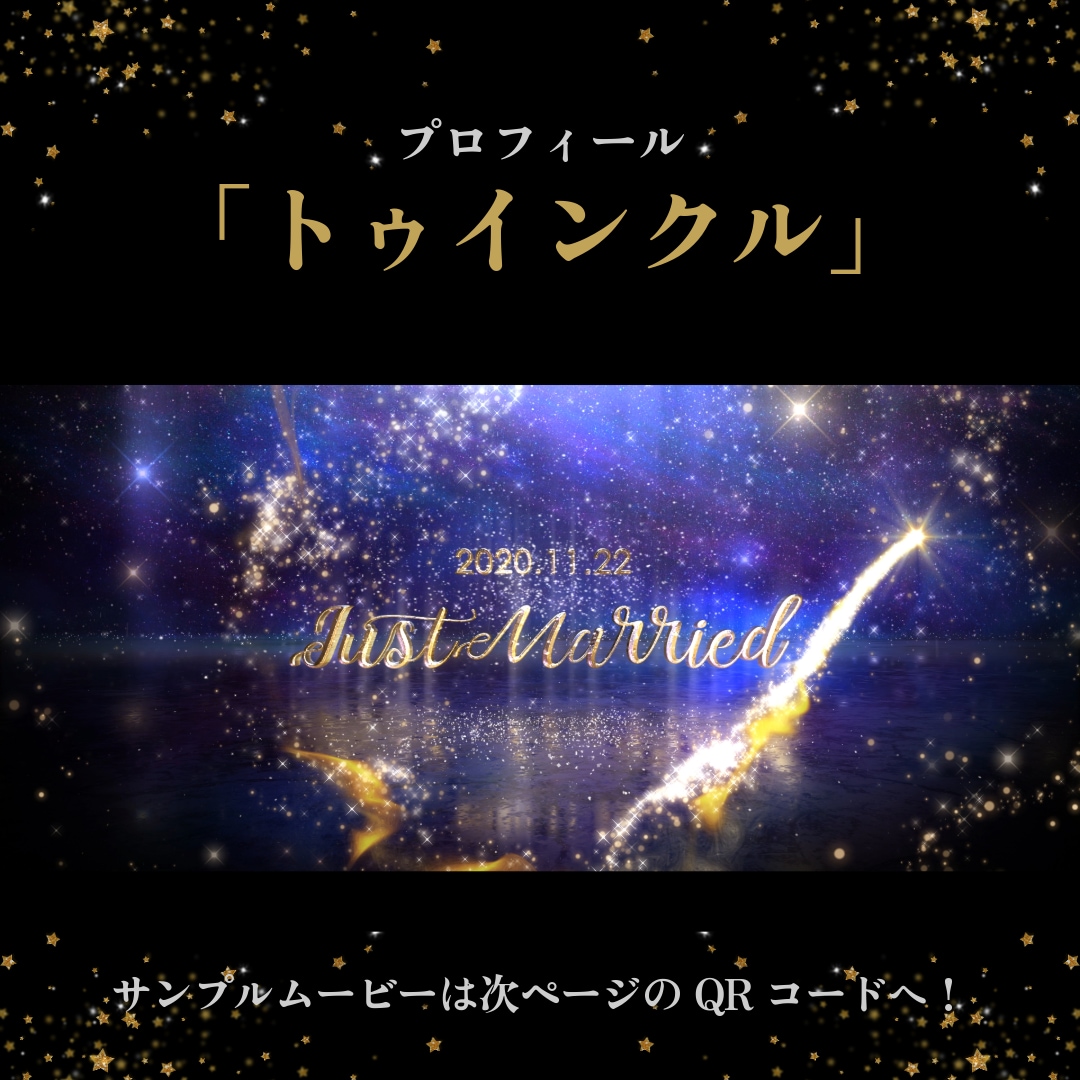 プロフィール・トゥインクルが印象的な映像で誘います 22000組のムービー制作の実績で高クオリティ・低コスト イメージ2
