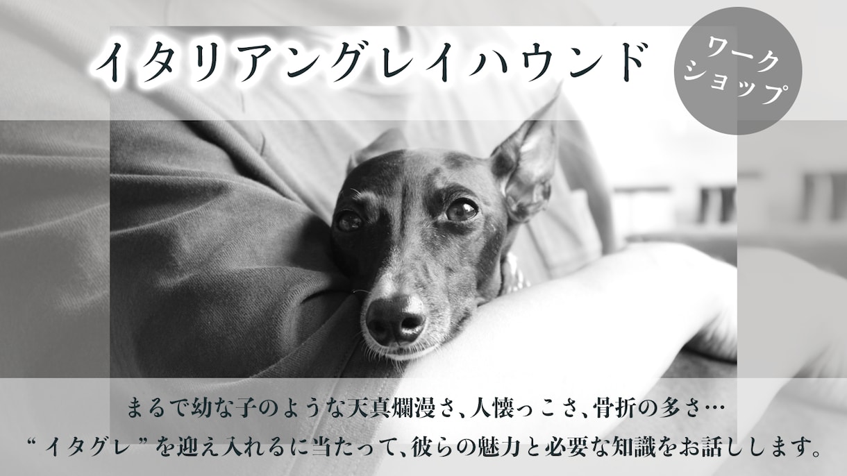 WEB画像作成します SNSの投稿やそのプロフィール画面をおしゃれにしてみませんか イメージ2