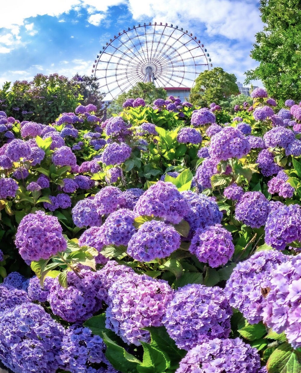 恋愛、浮気、不倫など貴方の悩みを解決していきます 貴方にとって最適な応えを導き出してみます！ イメージ3