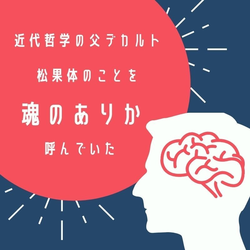 松果体の石灰化を防ぎ活性化させるアドバイスします 松果体を活性化させる食生活・体質改善のアドバイス イメージ3