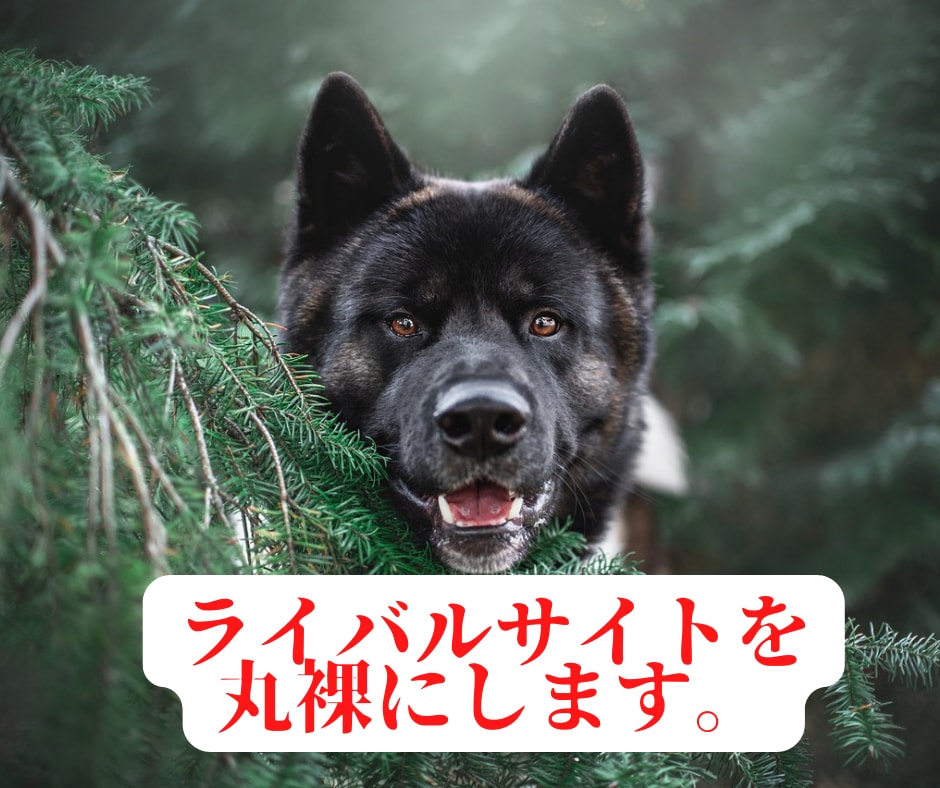 他社とは全く違います！狙うジャンル徹底分析します 現役WEBコンサル講師があなたの狙うべきキーワードを選びます イメージ1