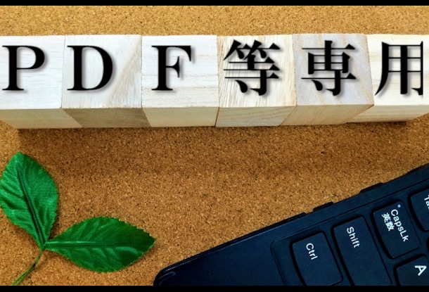 即日可能！1枚100円～PDF等のデータ化します 実績作りのため5名様限定価格～オンライン秘書が承ります～ イメージ6