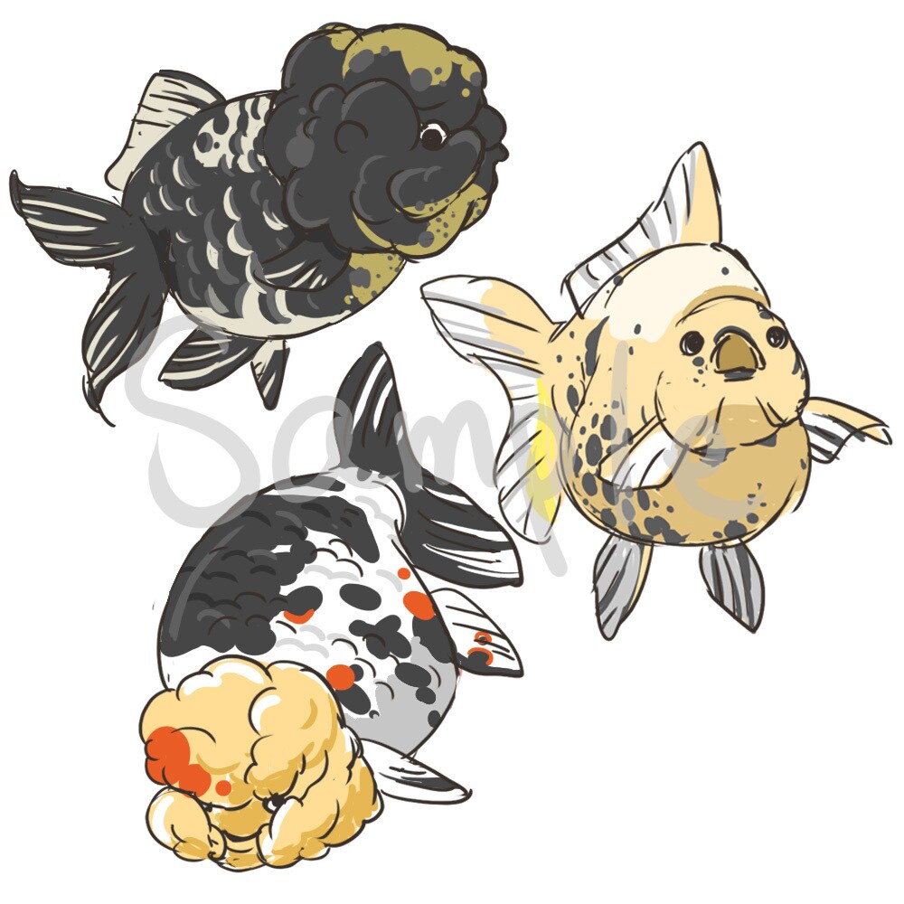 あなたのペット金魚ちゃんのイラスト描きます あなたの金魚ちゃんを可愛いキャラクターにします イメージ6
