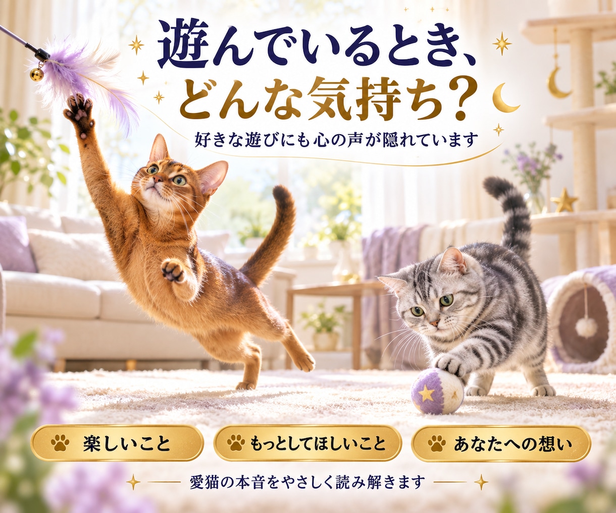 ペットの気持ち・本音を霊視タロットで丁寧に占います 犬猫限定｜今の本音・望み・飼い主様への想いを丁寧にお届け イメージ8