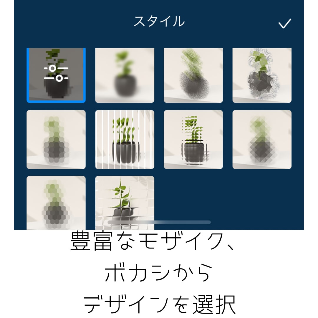 格安で女性にだけ頼みたいモザイクボカシ処理します 大事な部分や知られたくない部分の処理は女性へお願いしたい方 イメージ2