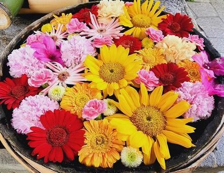 相談援助職‘٩꒰。•◡•。꒱۶’話したいを聞きます 友達や家族には言えないけど、話したいこと、話そう・゚:*✧ イメージ4