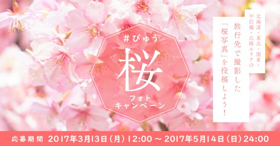 クリック率UP！高品質バナーをお届けします 即日納品可能で高クオリティバナーをお届けします！ イメージ2