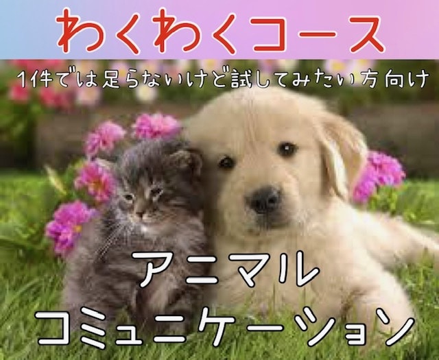 あなたの可愛いペットちゃんのお気持ち、お伝えします お話できない可愛いペットの気持ち、知りたくありませんか？ イメージ1