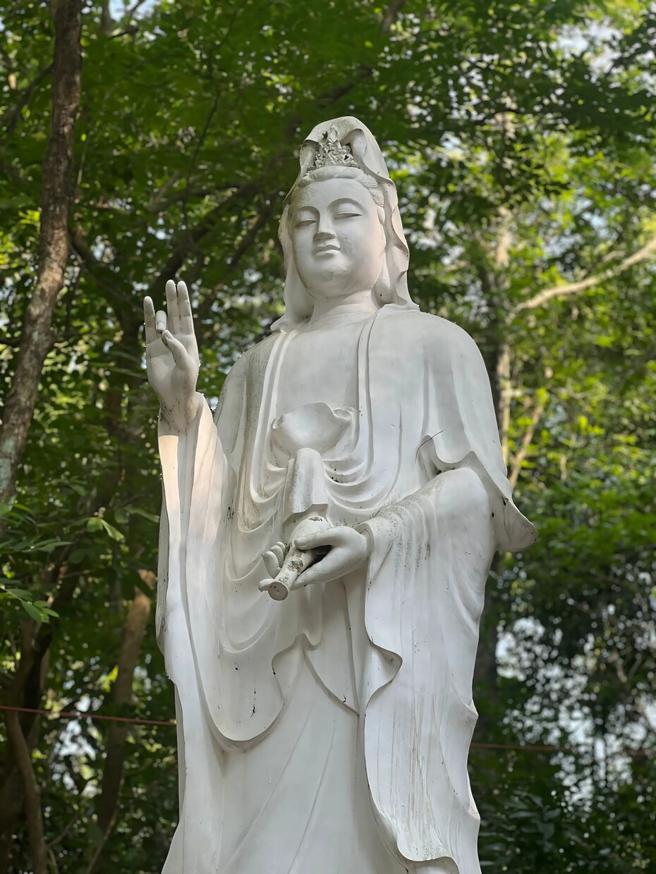 菩薩まで引き上げて、あなたを菩薩にします ★仏の存在としての使命・役割を果たすために★ イメージ7