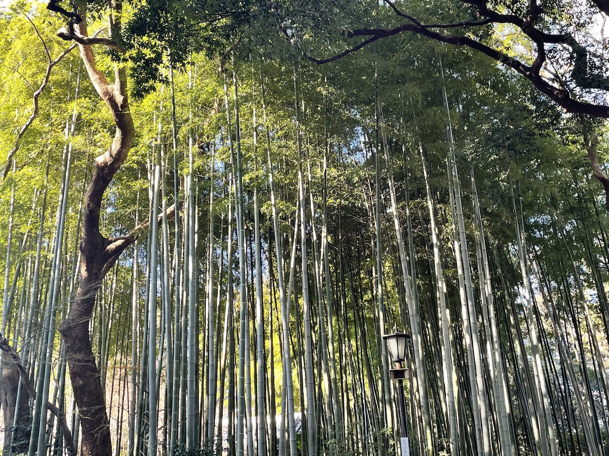 どんな話でも真剣に聞かせていただきます どんな話も親身に聞かせていただきます。 イメージ2