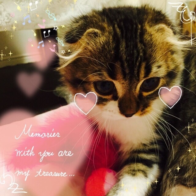 あなたのお気に入り写真を加工で可愛くしちゃいます ベストショットが撮れたあなたに♡ イメージ2